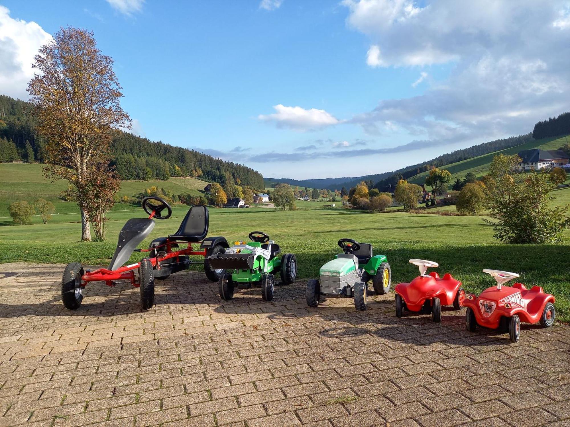 Ferienhaus Kaltenbach Titisee-Neustadt Luaran gambar