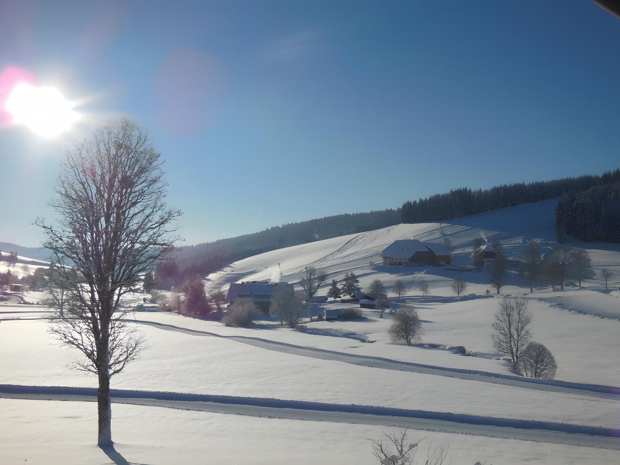 Ferienhaus Kaltenbach Titisee-Neustadt Luaran gambar