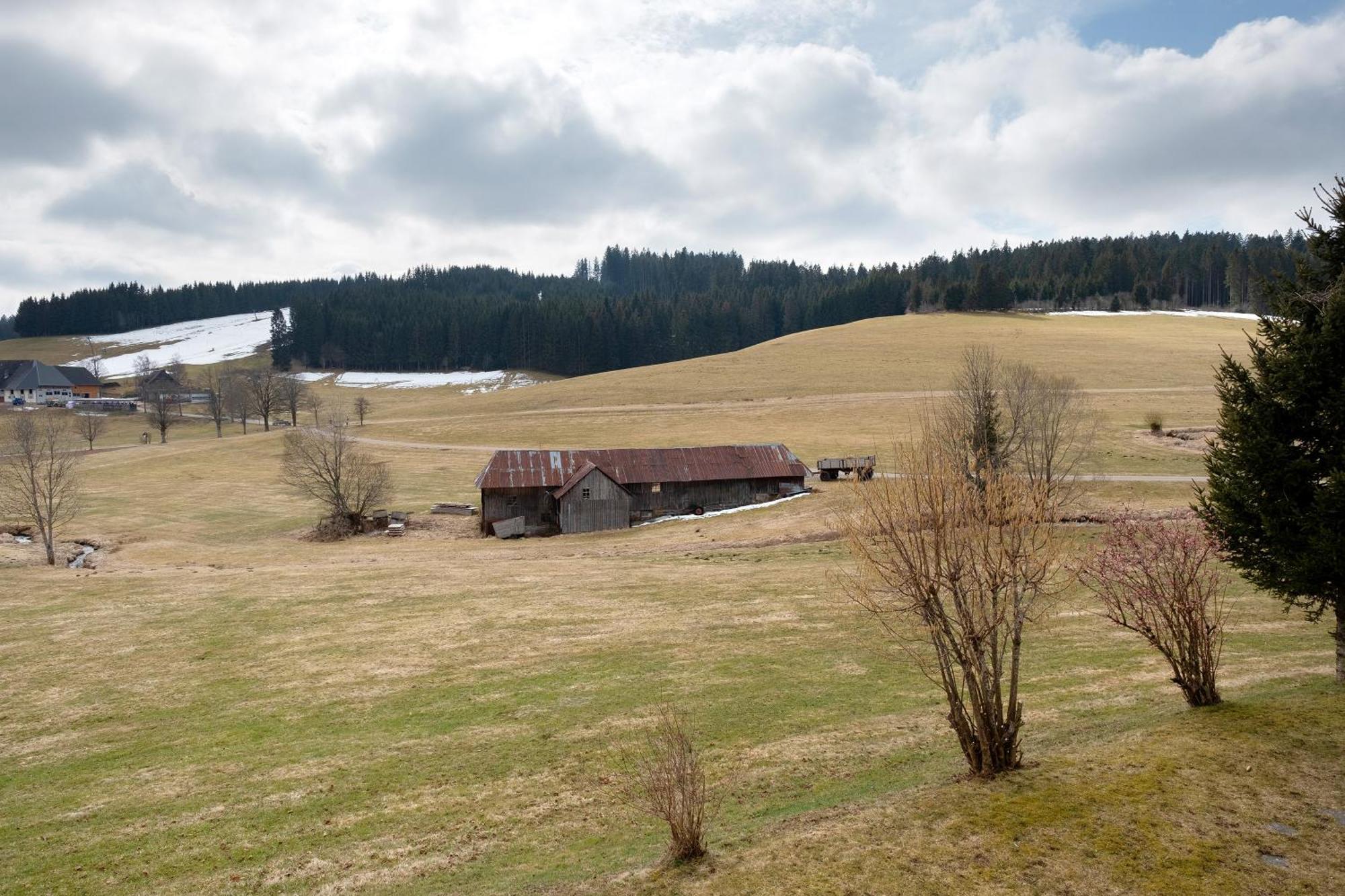 Ferienhaus Kaltenbach Titisee-Neustadt Luaran gambar