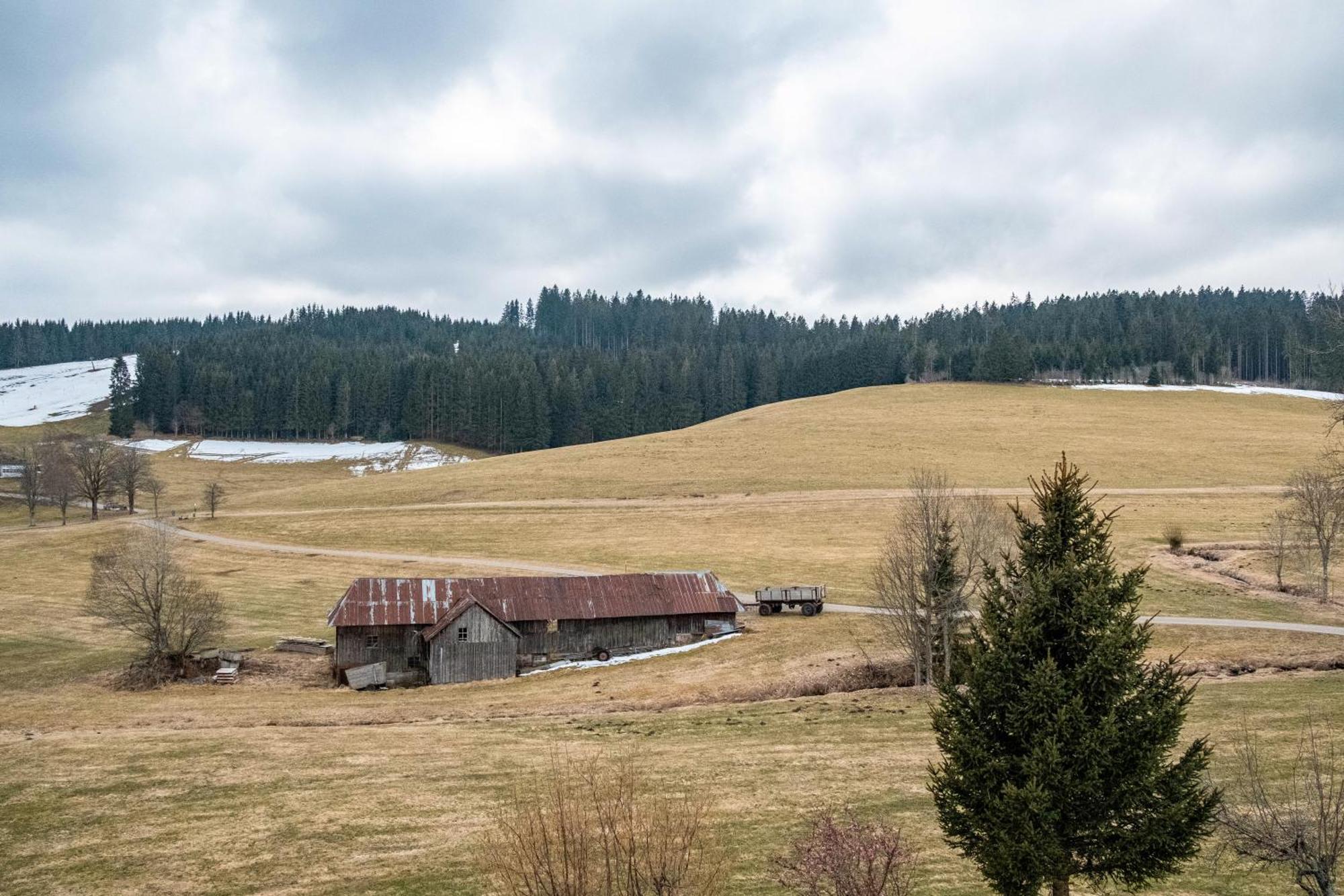 Ferienhaus Kaltenbach Titisee-Neustadt Luaran gambar