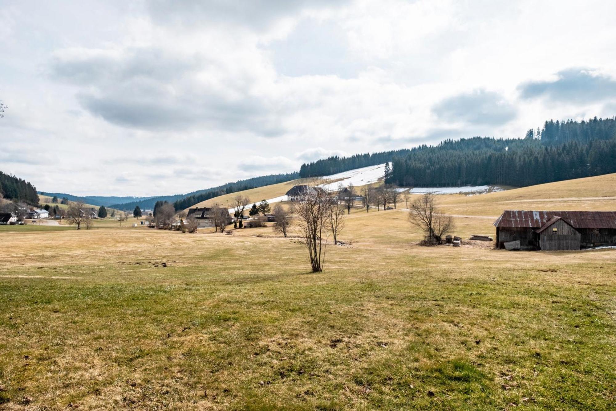 Ferienhaus Kaltenbach Titisee-Neustadt Luaran gambar